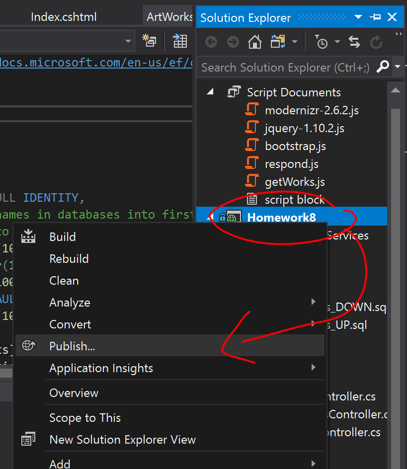 Publishing from Visual Studio